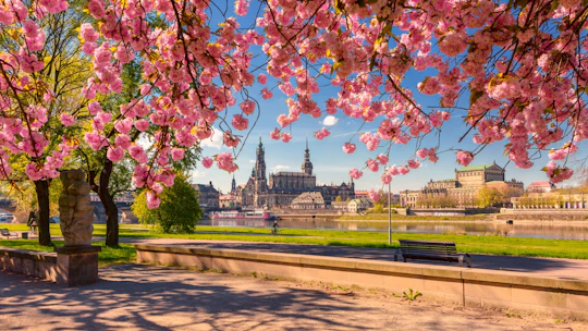 Tour of Dresden's most photogenic spots with a local