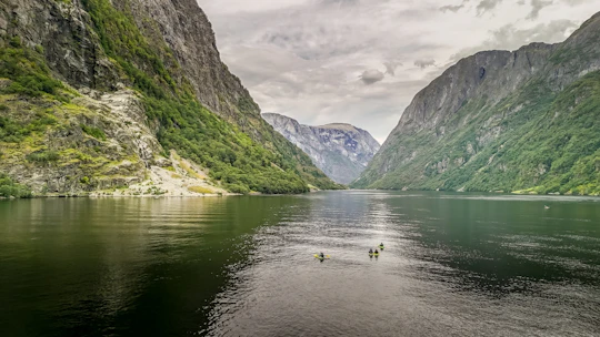 Private transfer from Bergen to Gudvangen and the Nærøyfjord