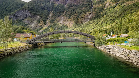 Private transfer from Flåm to Bergen, from the fjords to the city
