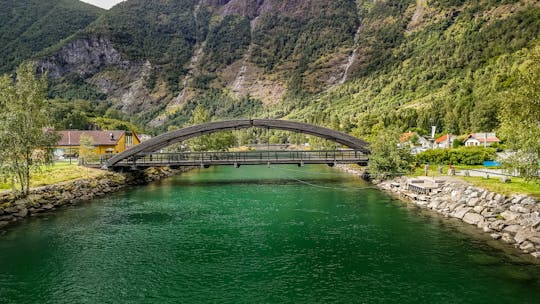Privé transfer vanaf Flåm naar Bergen, vanaf de fjorden naar de stad - 