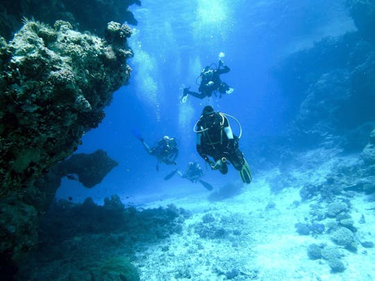 Discover scuba diving with transfer with Binibeca Diving