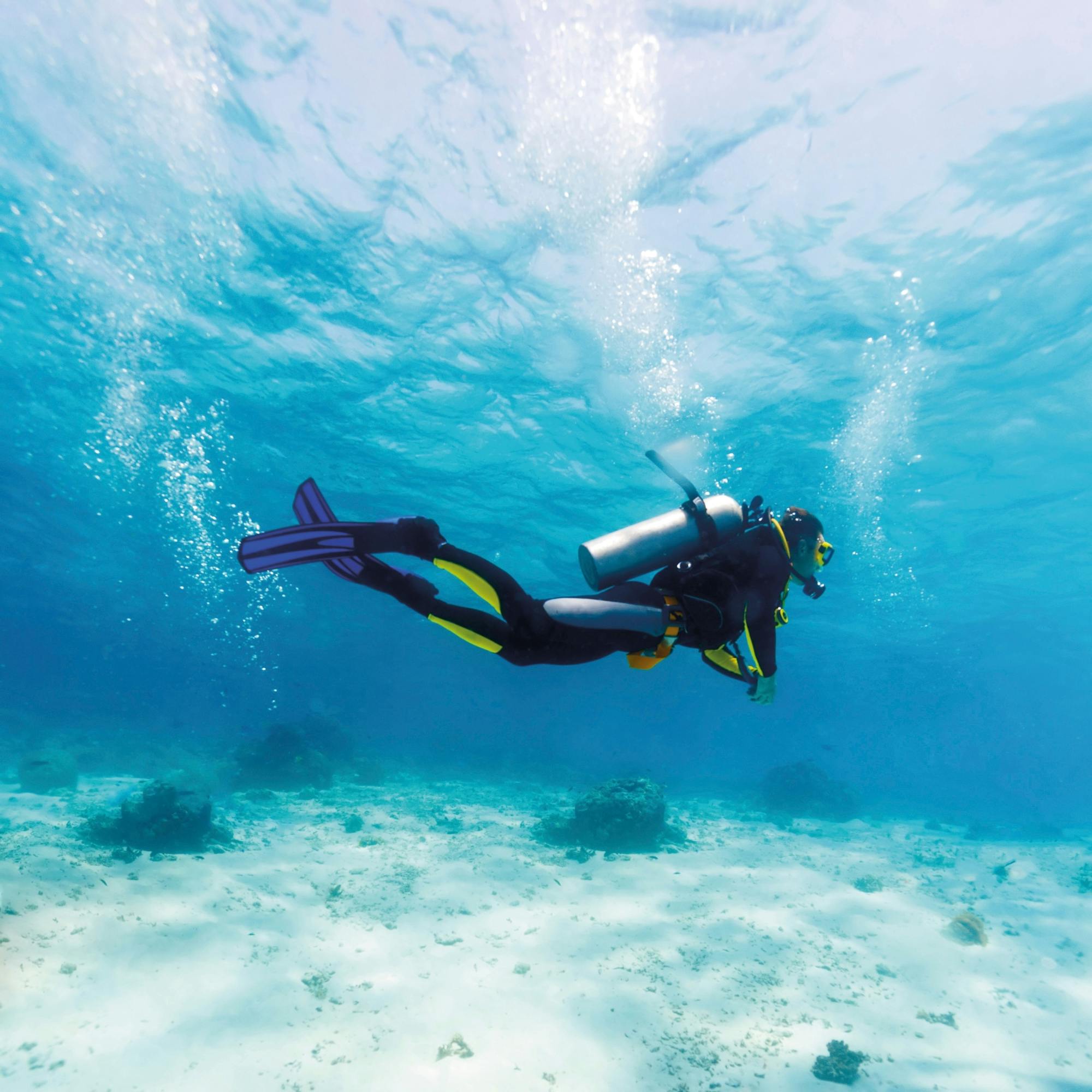 Dive for qualified divers with Binibeca Diving