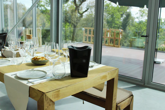 Vinho Verde vineyard and wine tasting experience