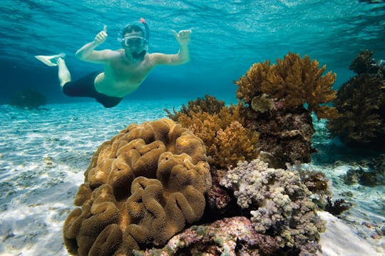 Snorkel tour with Binibeca Diving – ticket with transfers