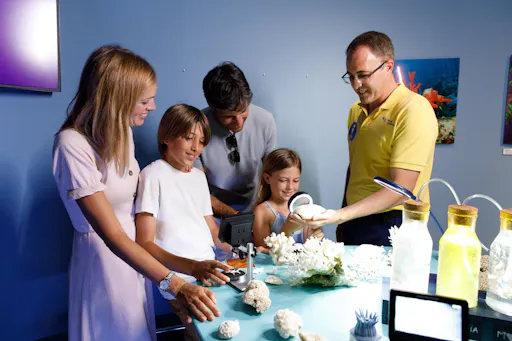 Palma Aquarium with transfer