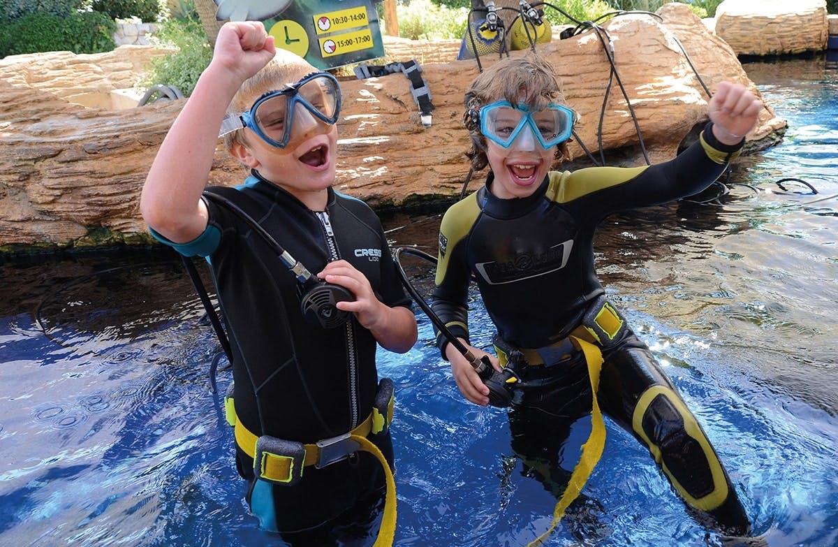 Palma Aquarium with transfer