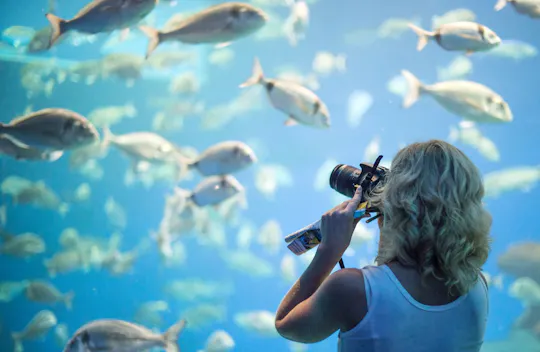 Palma Aquarium met transfer