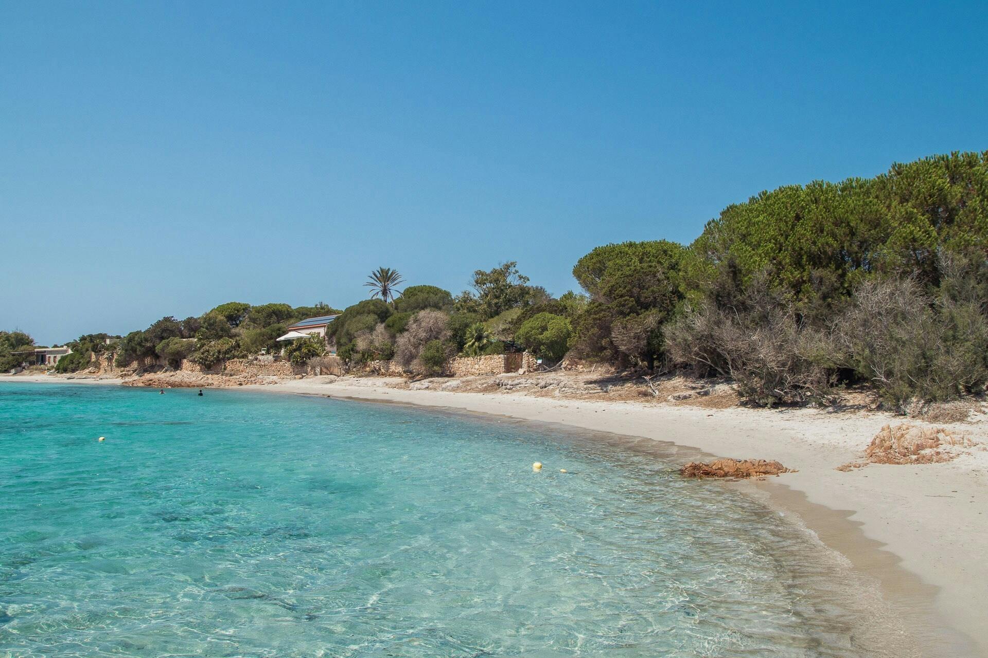 La Maddalena boat tour from Golfo Aranci