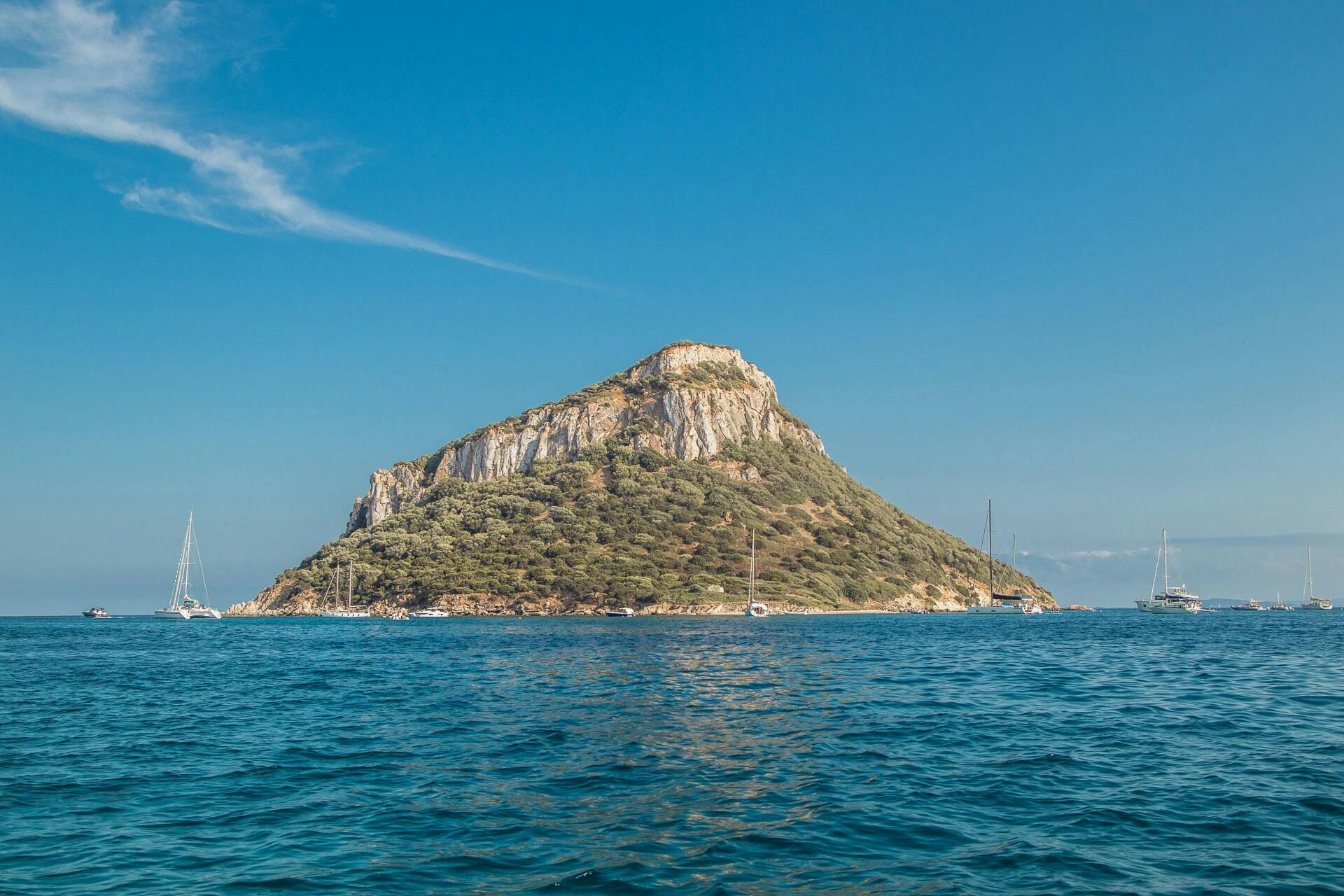 Dolphin-watching from Golfo Aranci