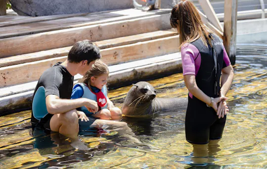 Inngangsbillett til Faunia Zoo Madrid