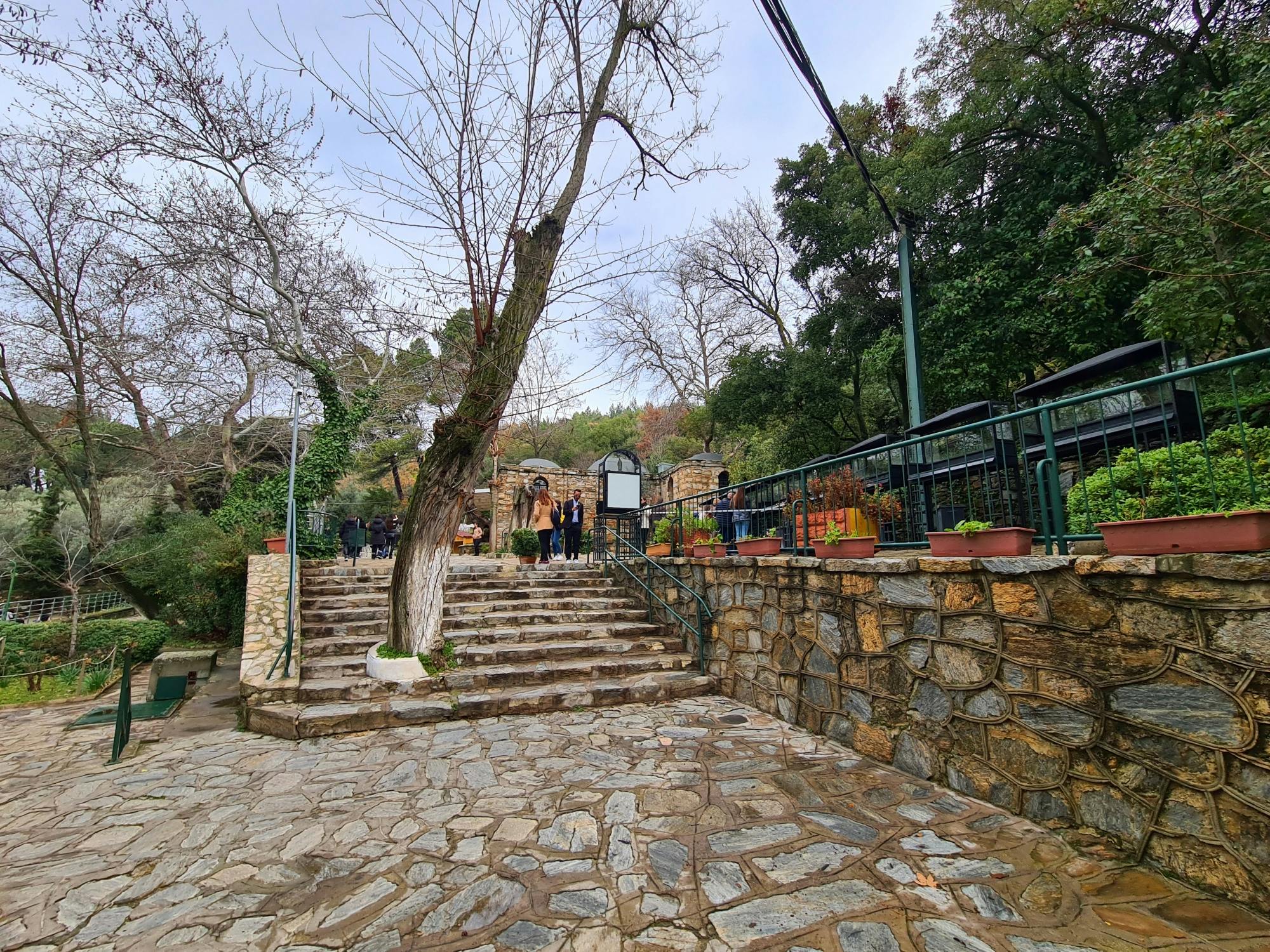 Ancient Ephesus tour with Virgin Mary House visit and lunch