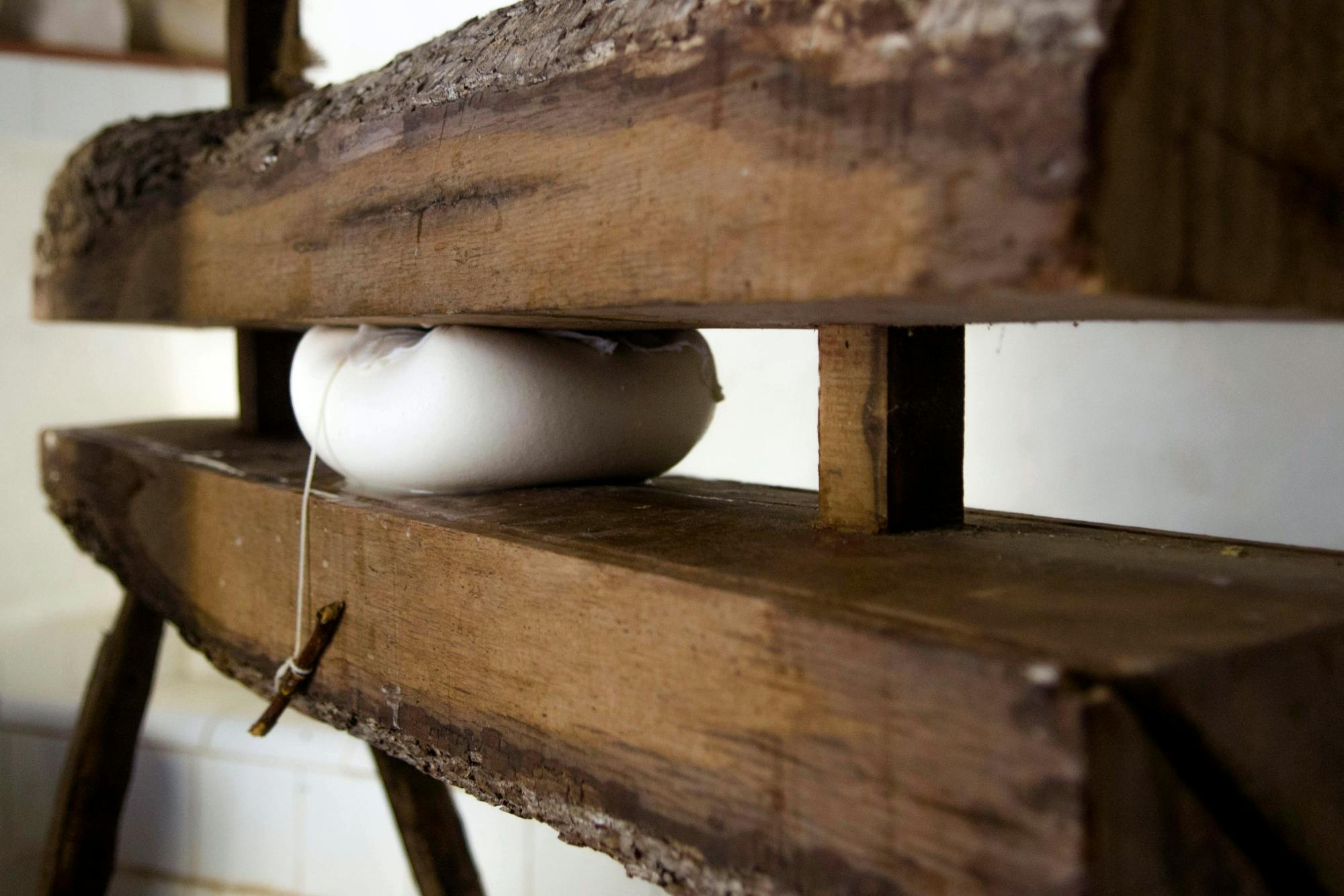 Menorca tour of Binissues with tasting, Fornells and Son Matorellet