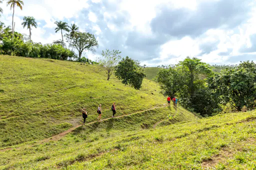 Half-day small group walking tour in the Anamuya Mountains