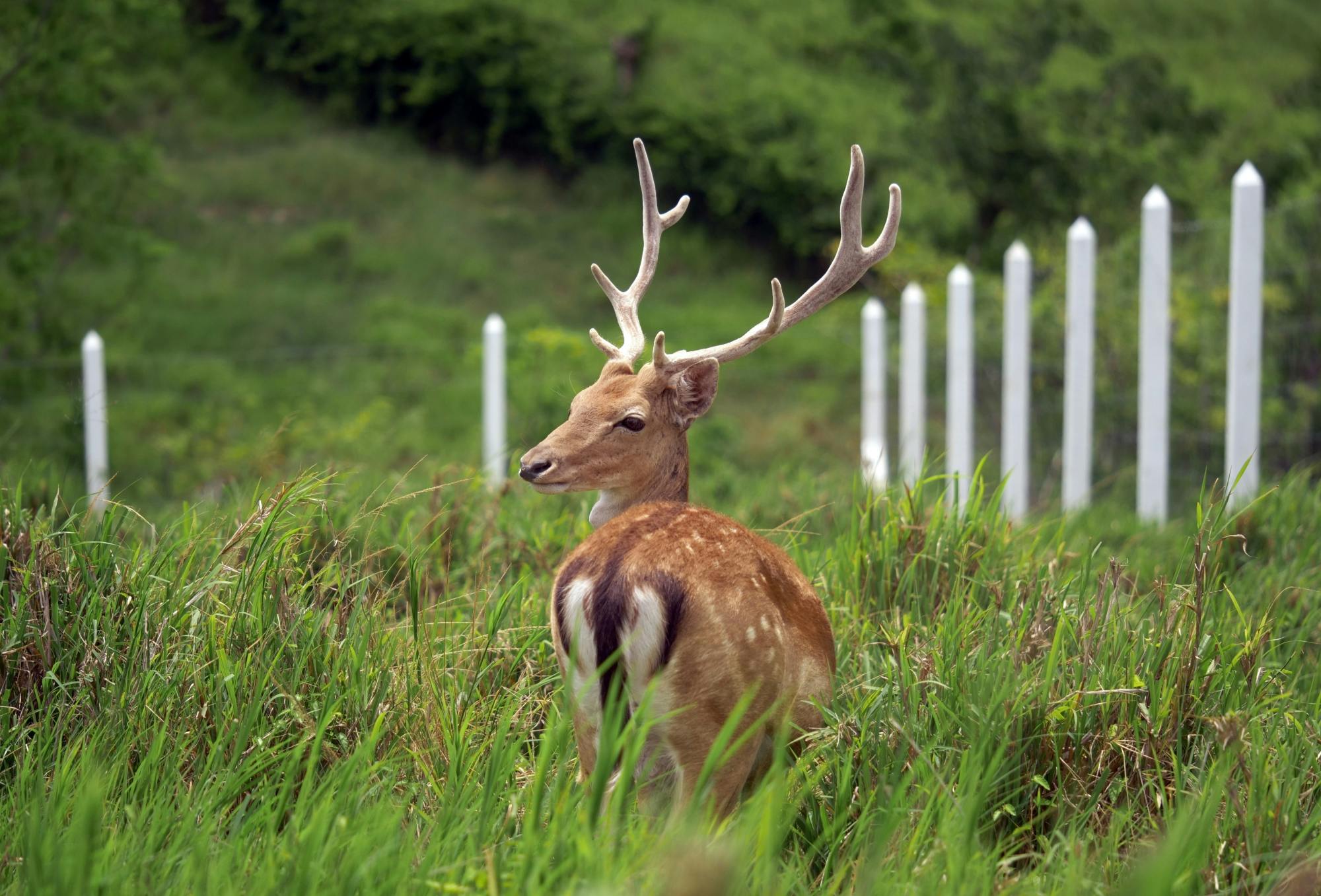 Eco Park Punta Cana tour with buggy ride