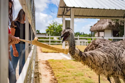 Eco Park Punta Cana tour with buggy ride