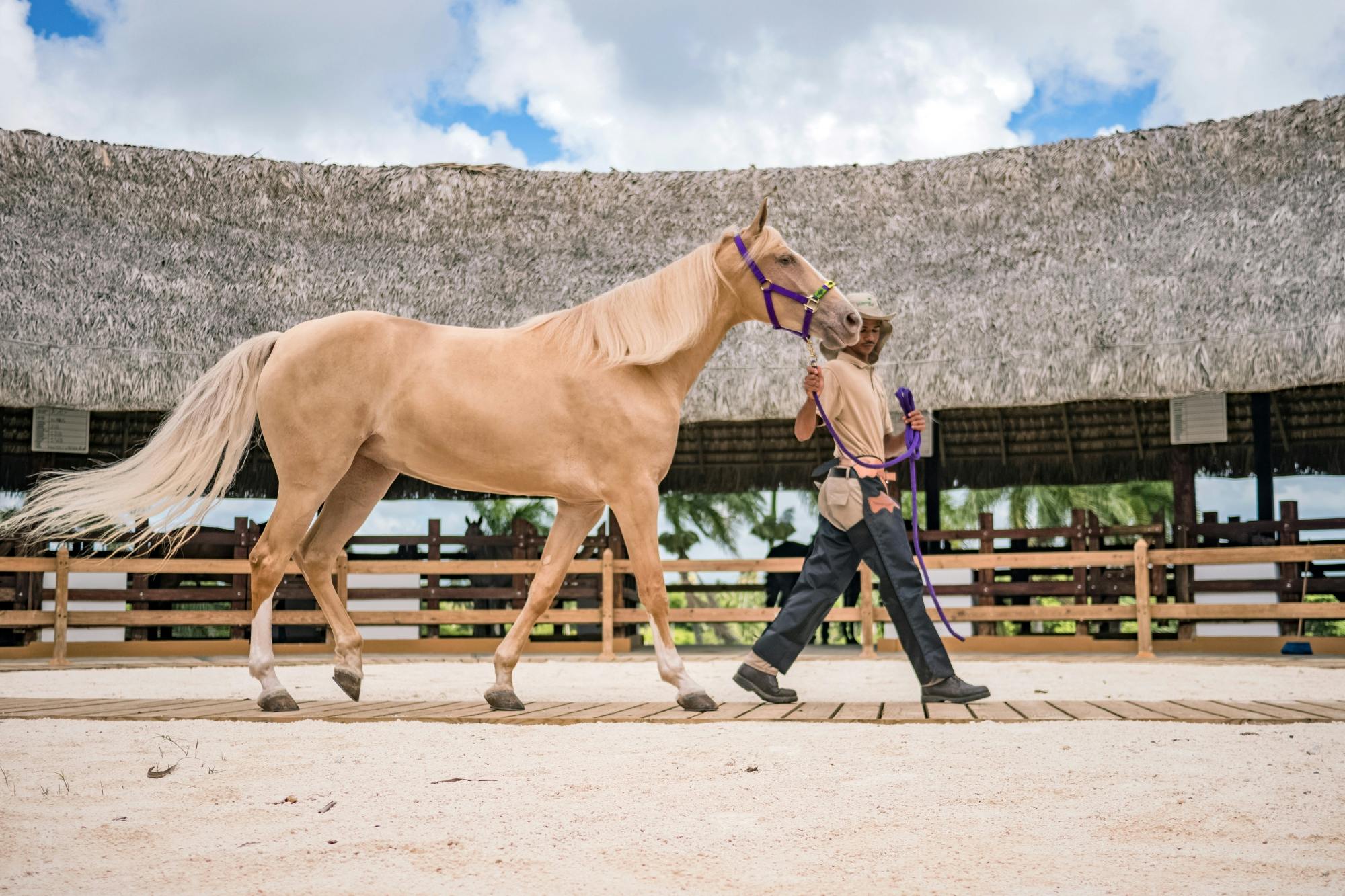 Eco Park Punta Cana tour with buggy ride