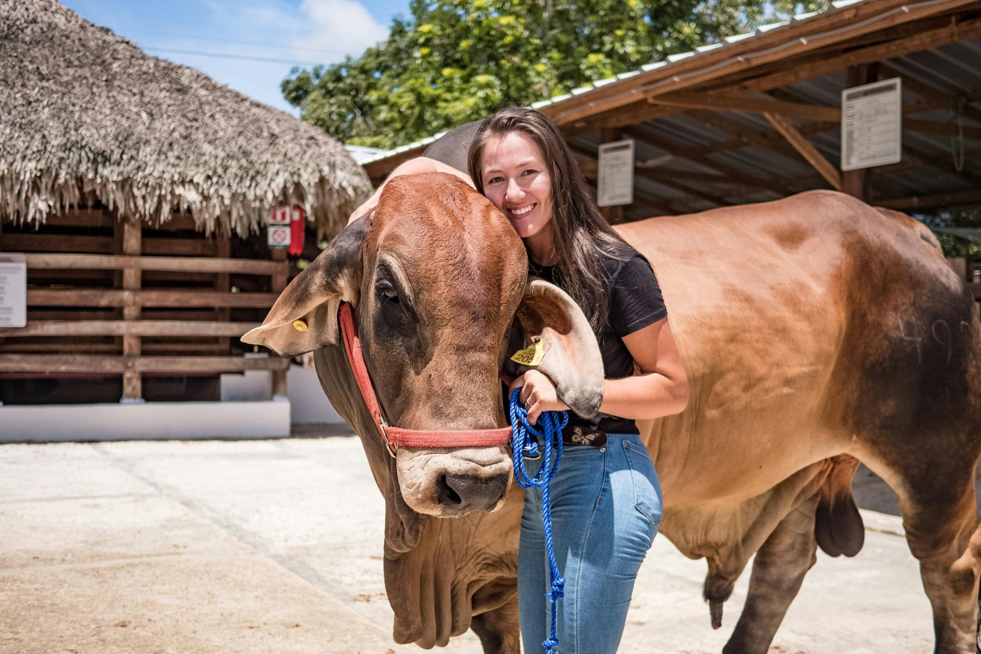 Eco Park Punta Cana tour with buggy ride