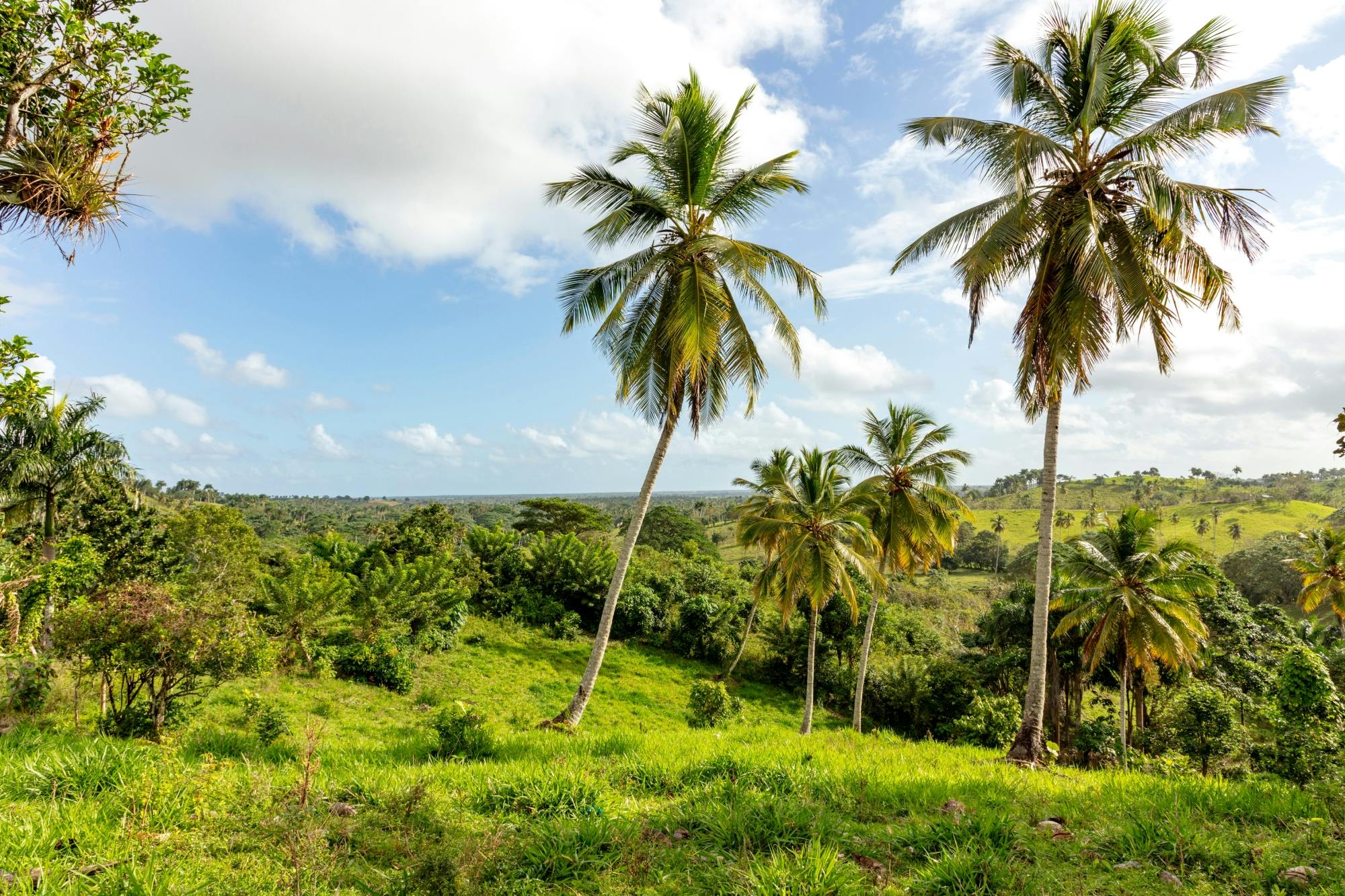 Half-day small group walking tour in the Anamuya Mountains