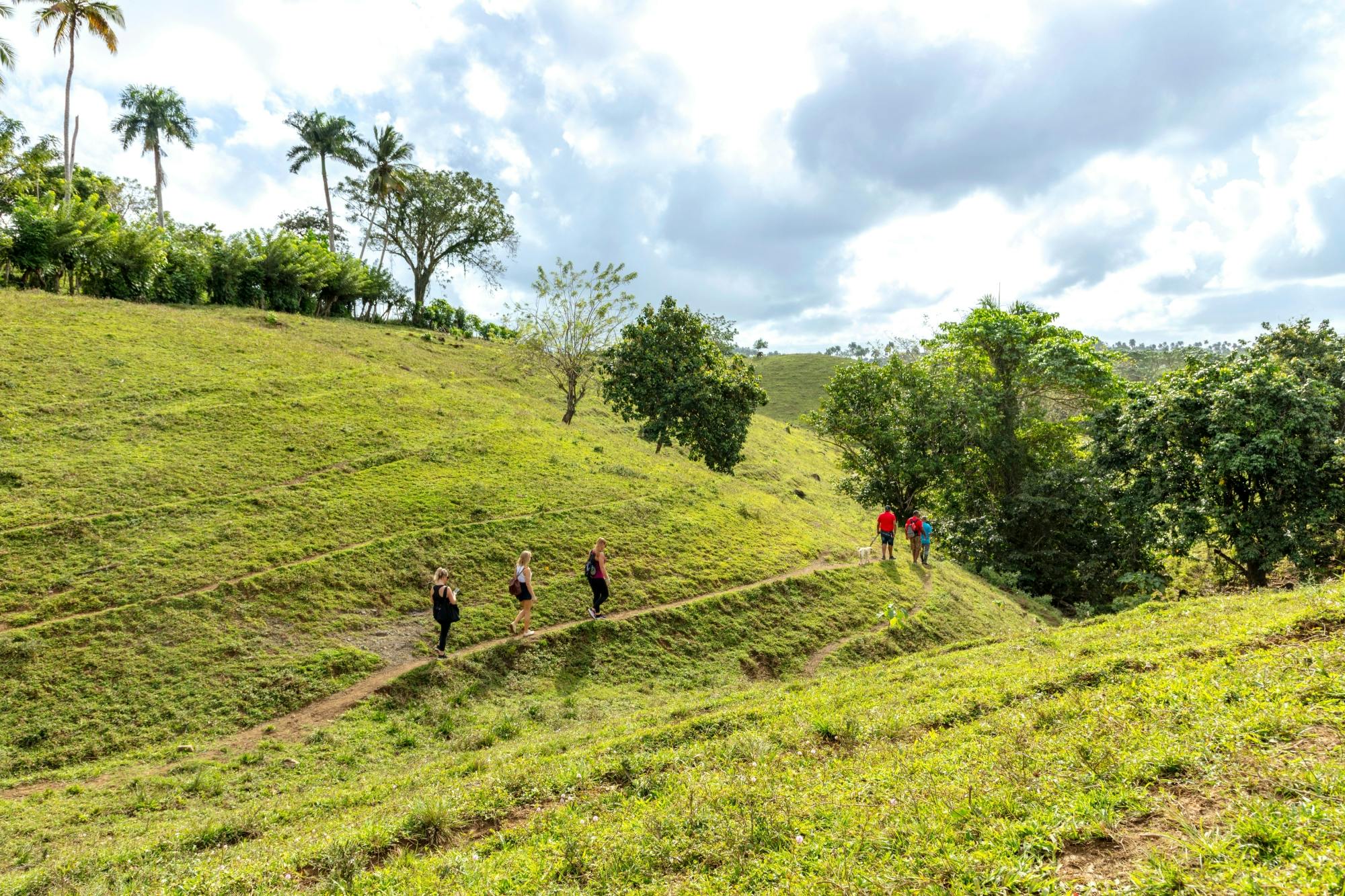 Half-day small group walking tour in the Anamuya Mountains