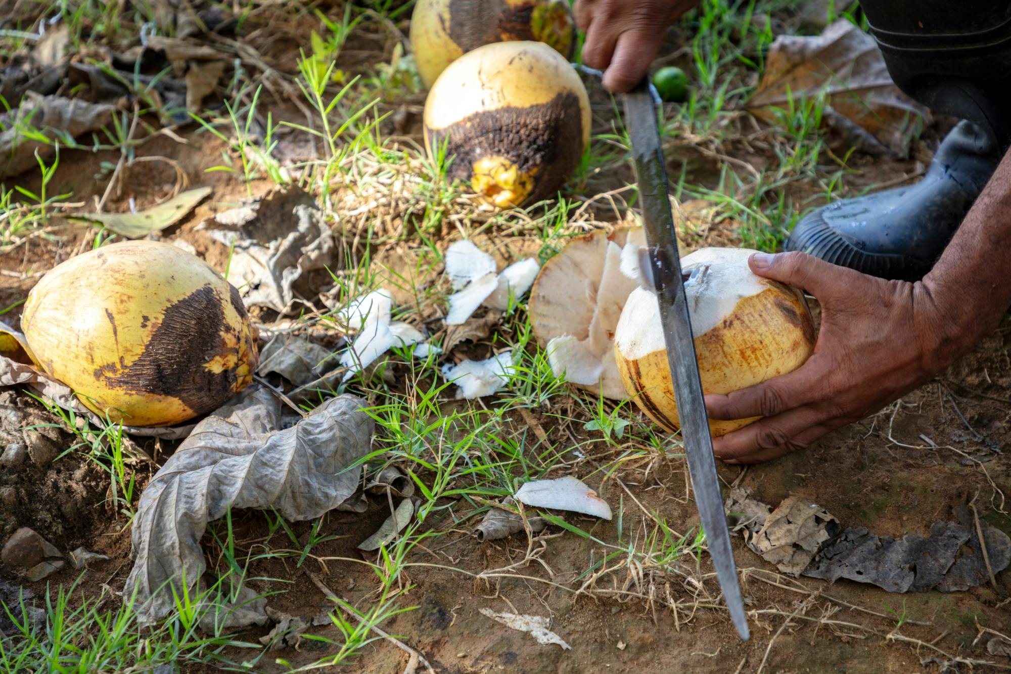 Half-day small group walking tour in the Anamuya Mountains