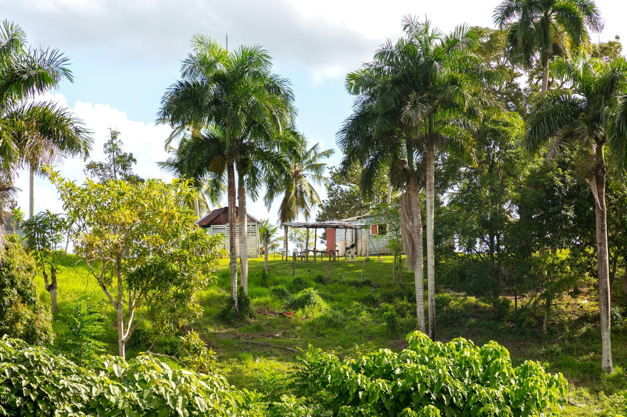 Half-day small group walking tour in the Anamuya Mountains