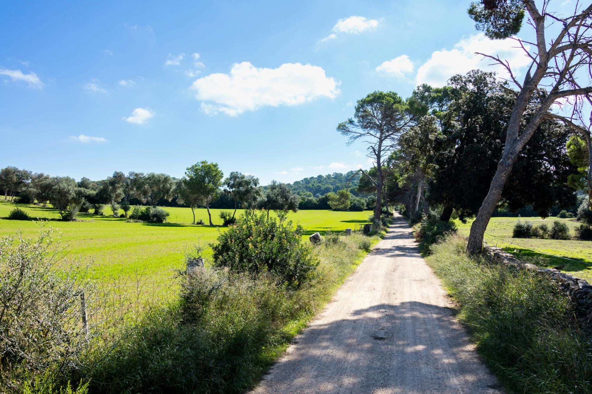 Self‑Guided visit to Subaida Cheese Farm including local tasting experience
