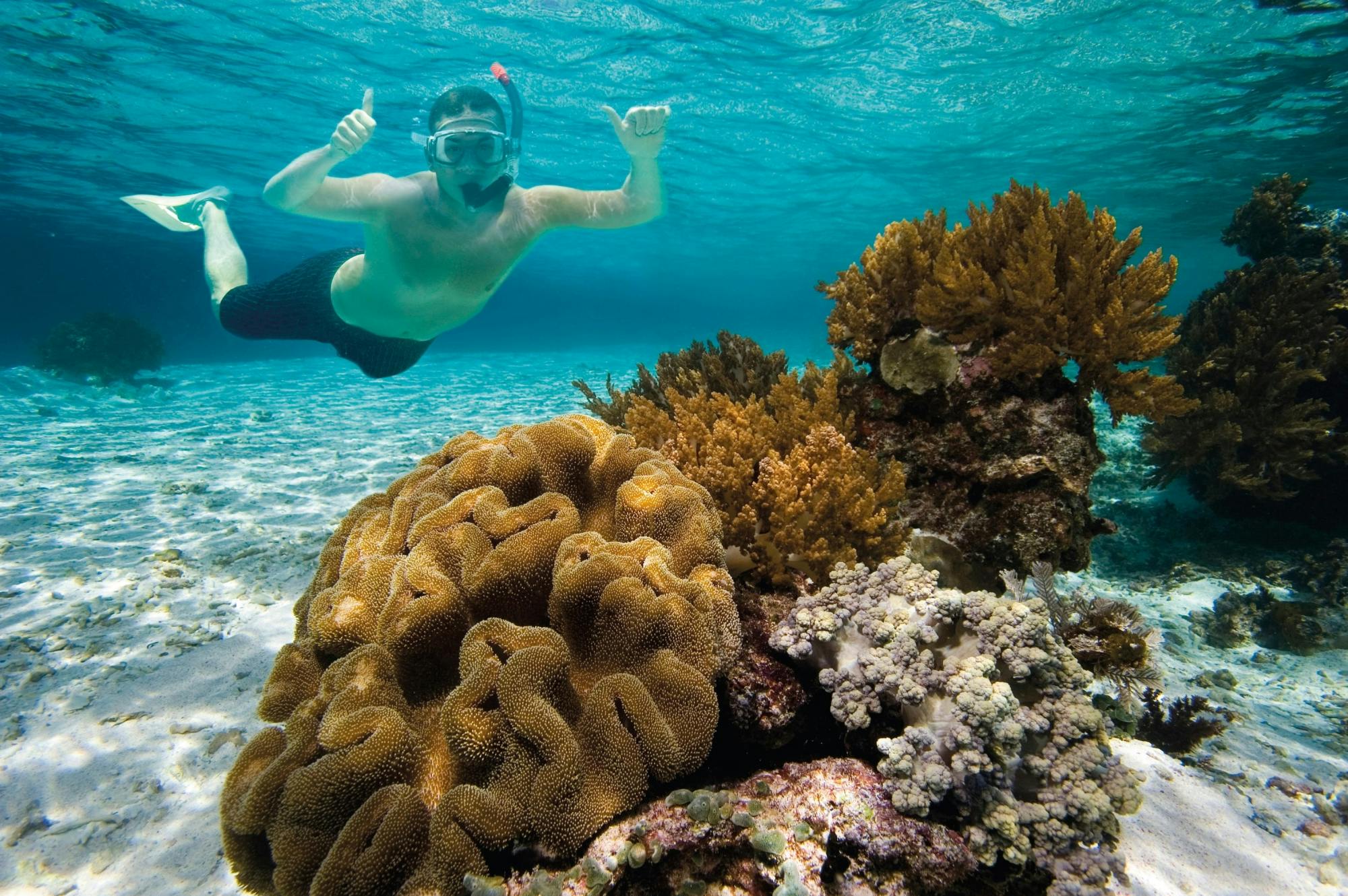 Menorca Binibeca three-hour boat tour snorkel safari