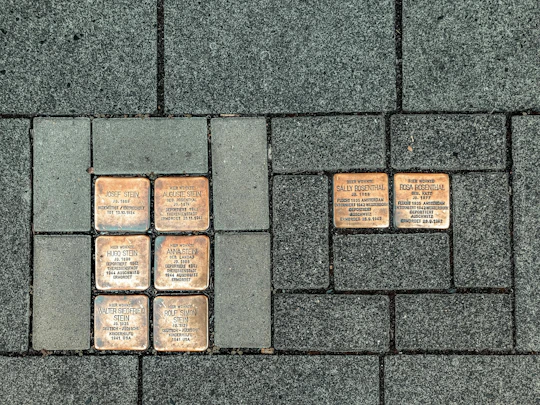 Walking tour of Cologne’s WWII history and legacy