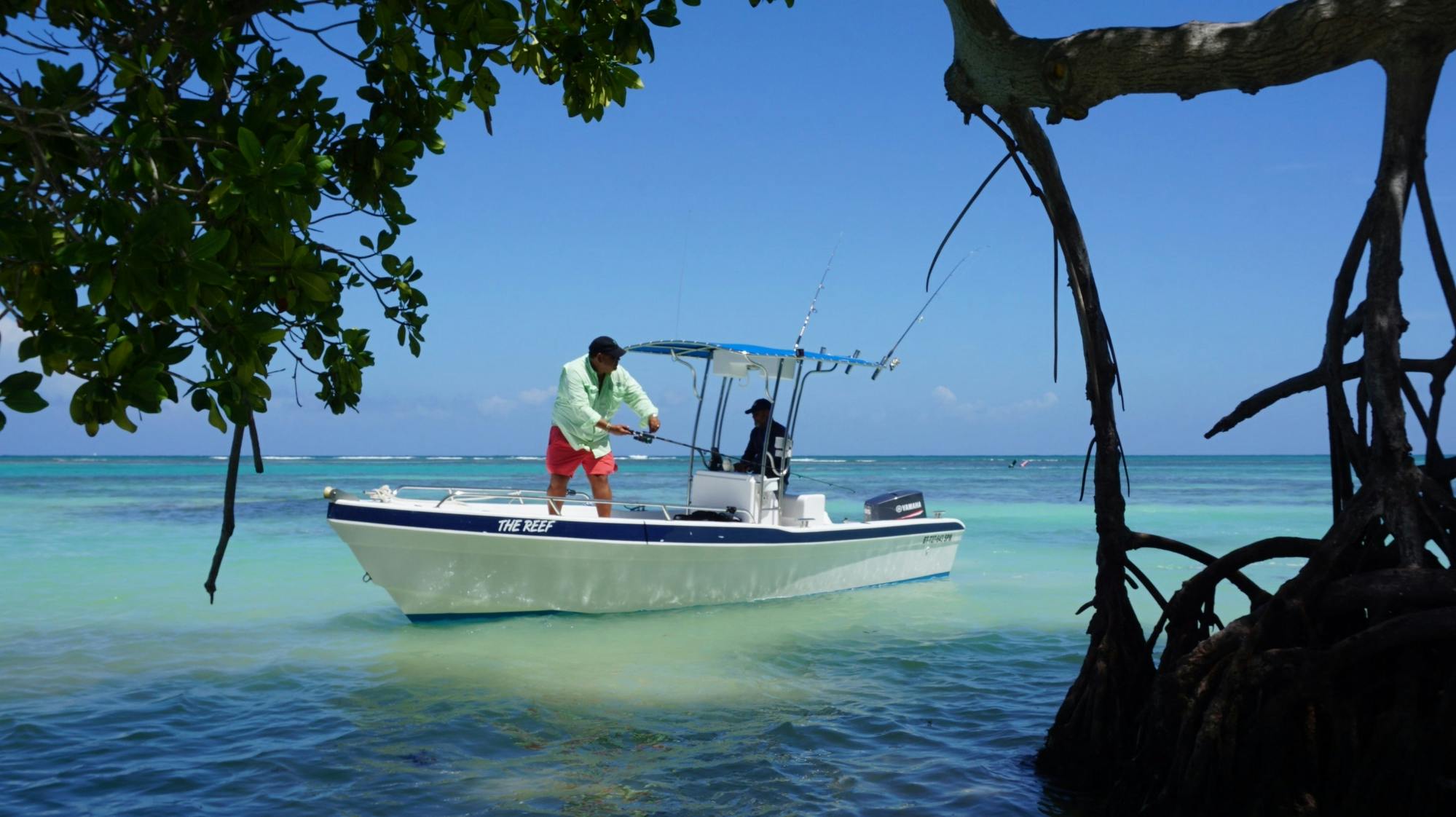 Half-day Punta Cana fly fishing trip off Juanillo beach