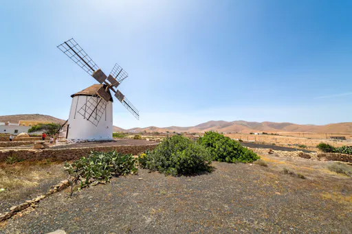 Fuerteventura West Coast Tour with Betancuria and Tiscamanita Windmill