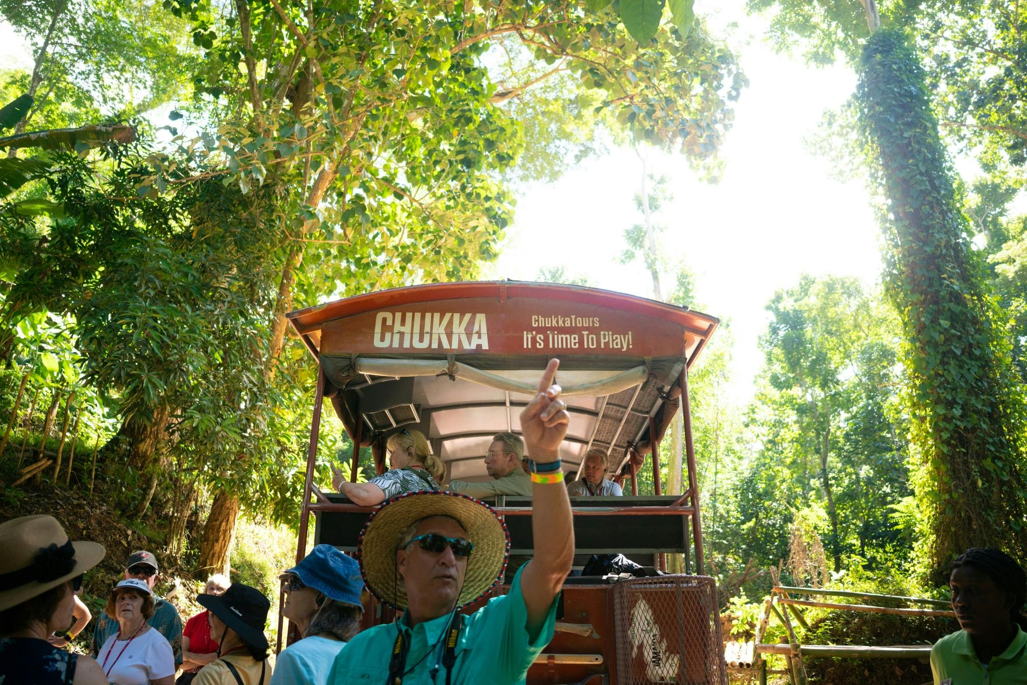 Full-day west Jamaica activity tour
