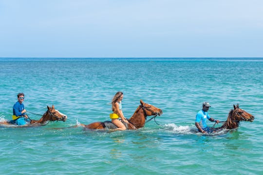 Full-day west Jamaica activity tour