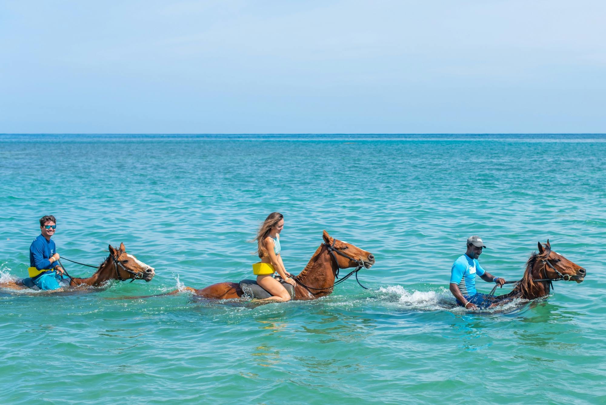 Full-day west Jamaica activity tour