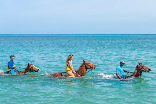 Excursion d'une journée à l'ouest de la Jamaïque