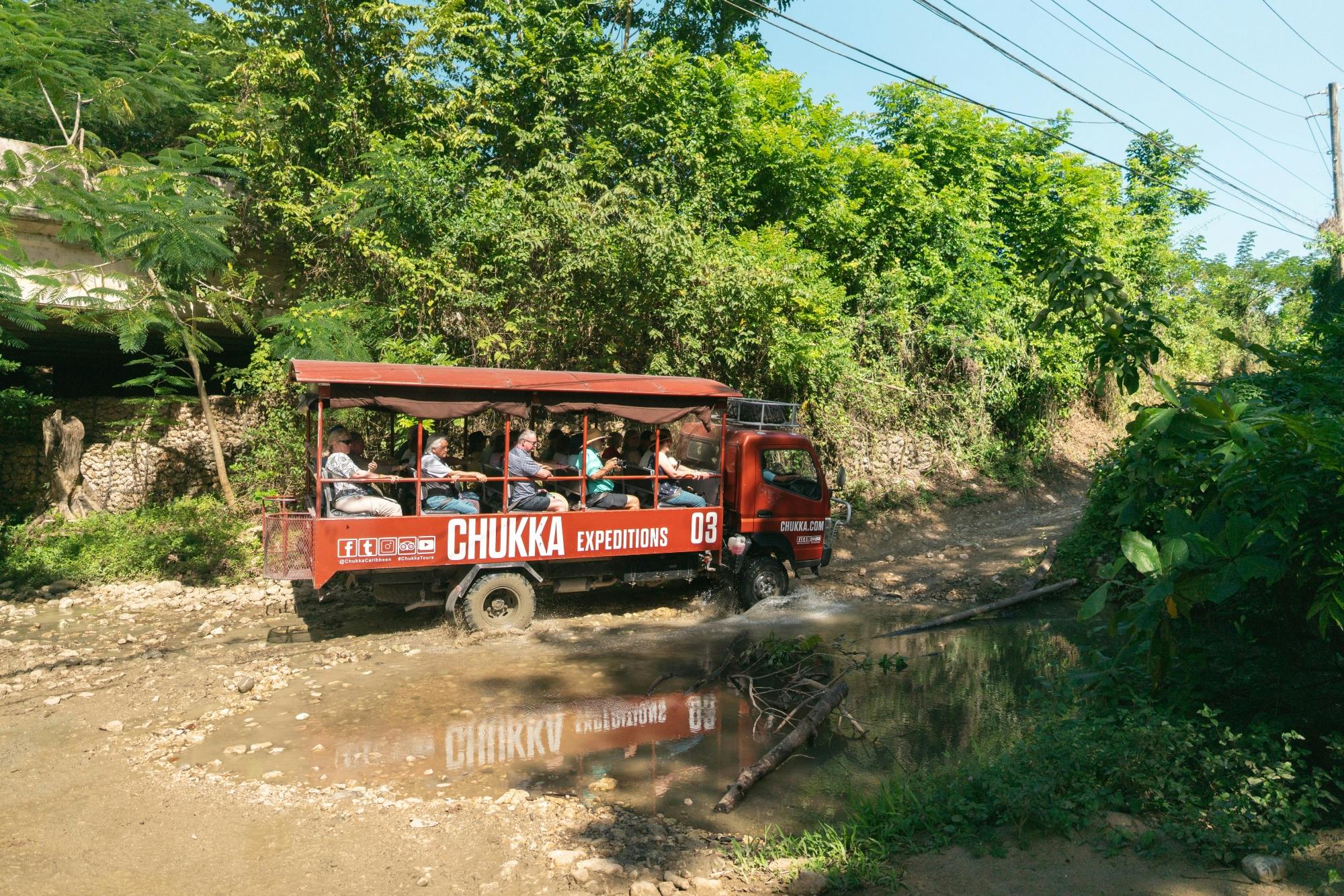 Full-day west Jamaica activity tour