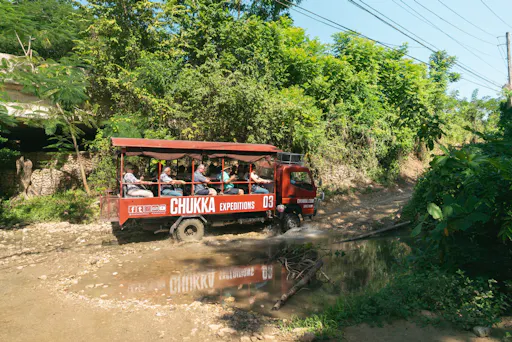Full-day west Jamaica activity tour