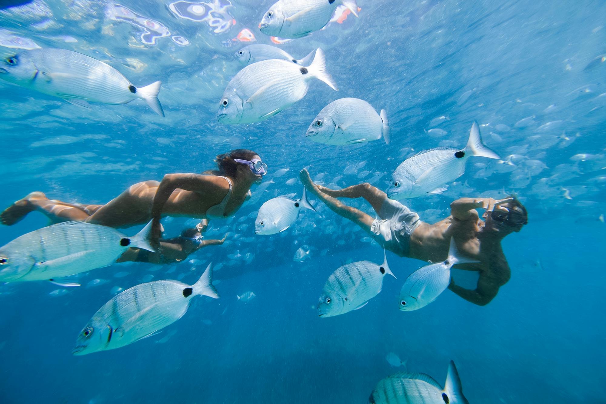 Ferry para a ilha de Lobos e experiência de snorkeling a partir de Corralejo