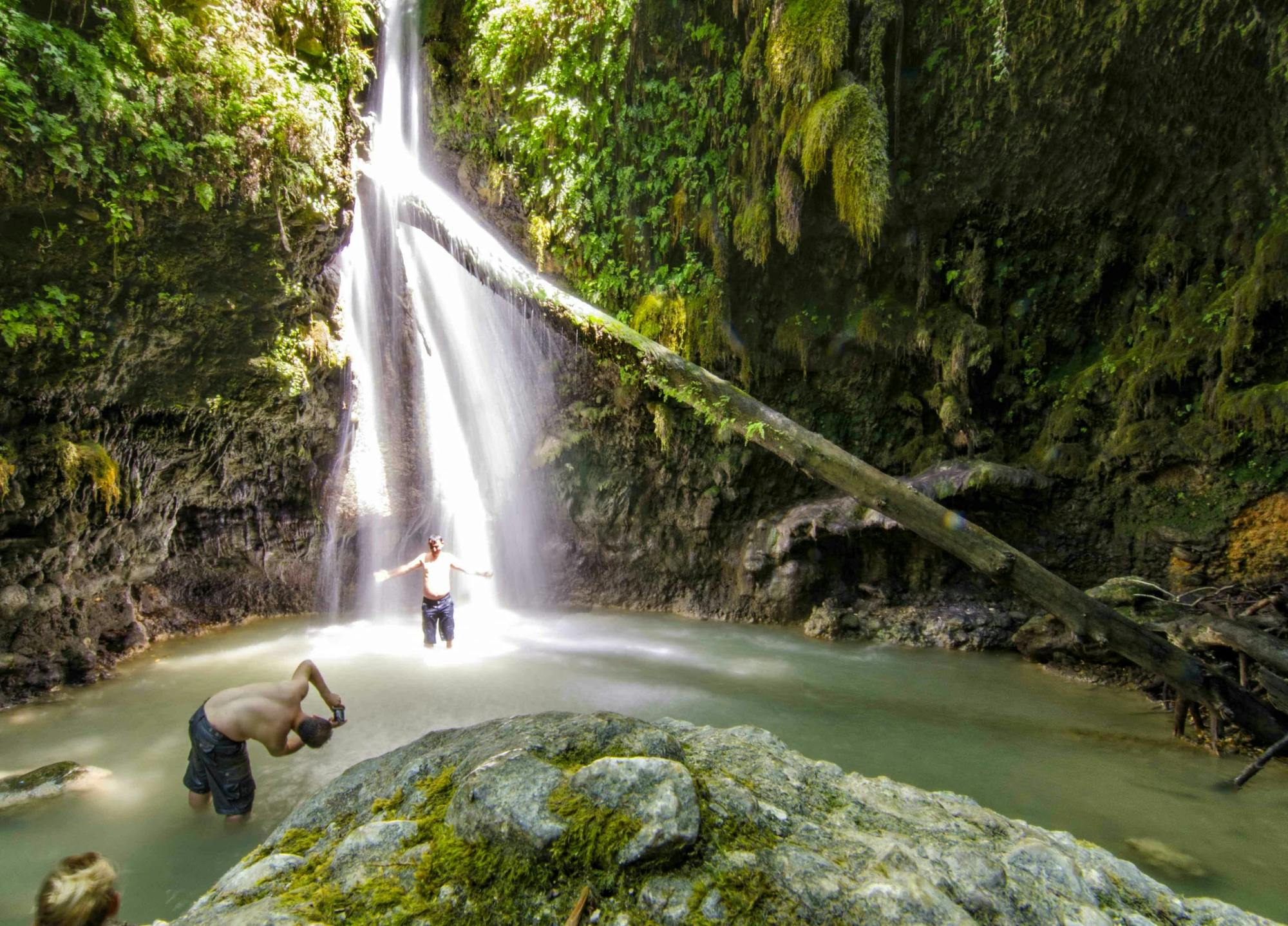 Animal's Wet & Wild -kierros