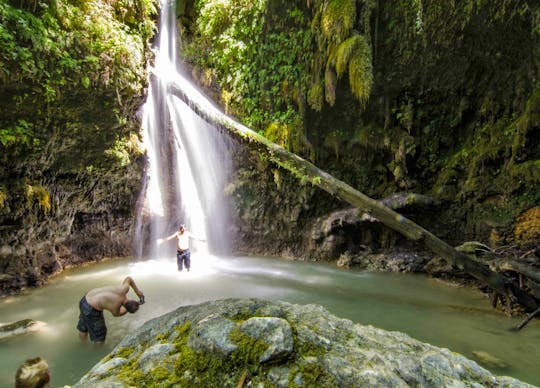 Animal's Wet & Wild -kierros