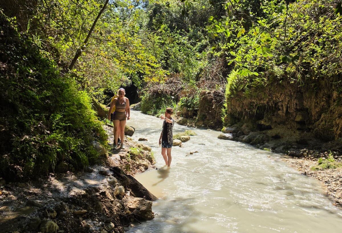 Animal's Wet & Wild Tour