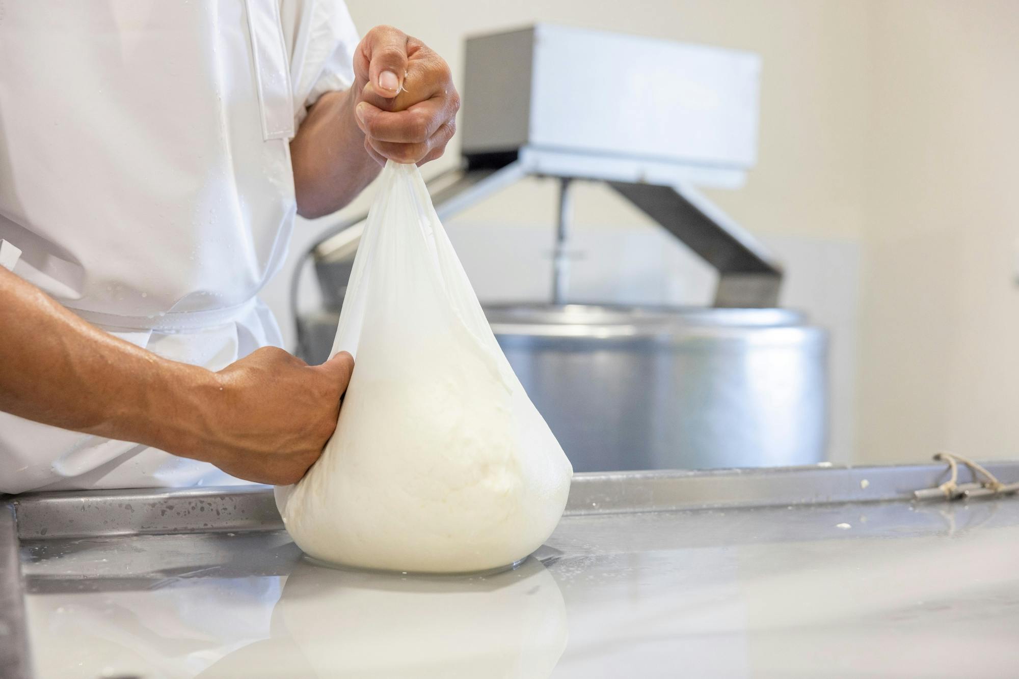 Menorca cheese-making workshop