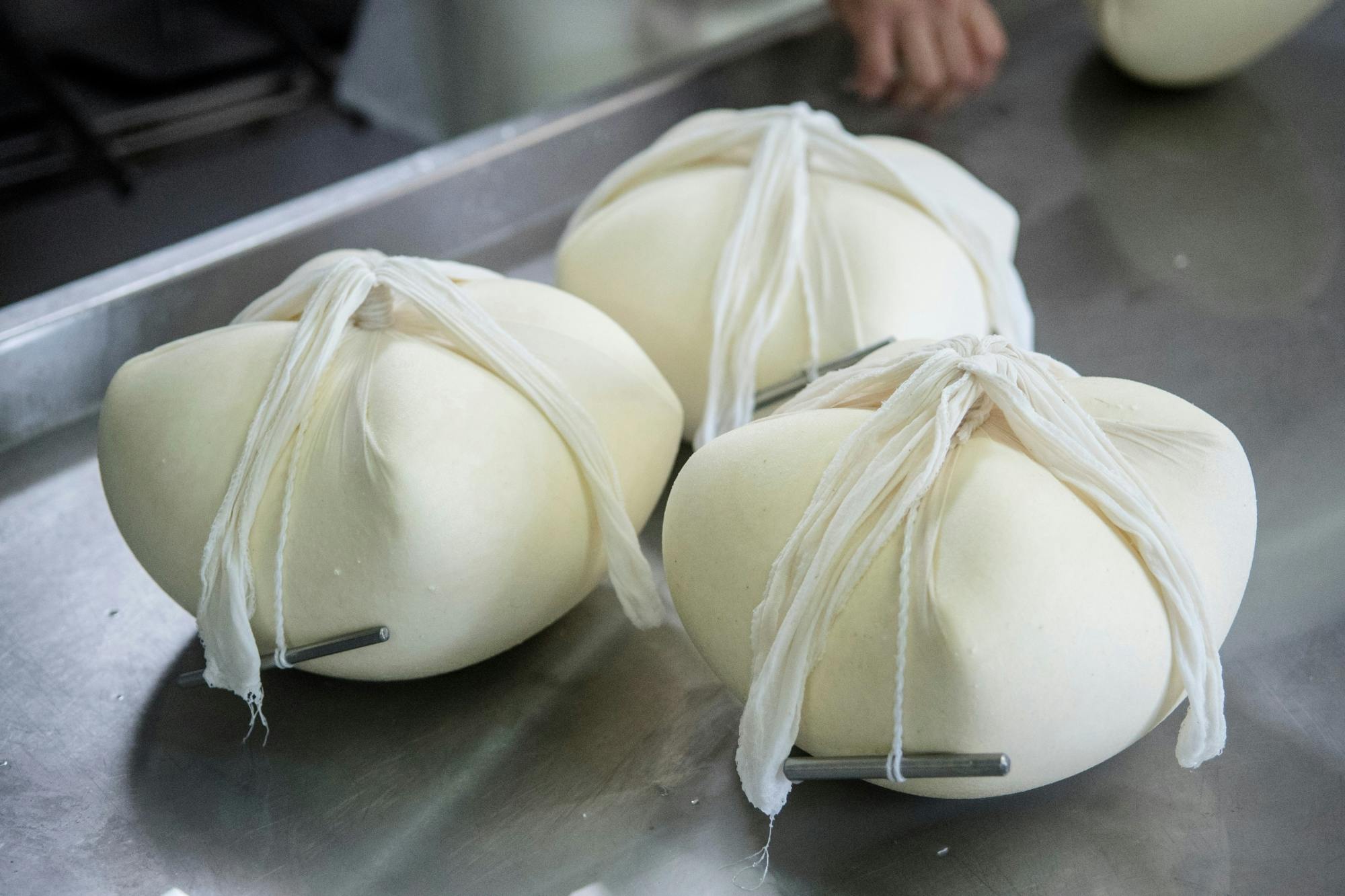 Menorca cheese-making workshop