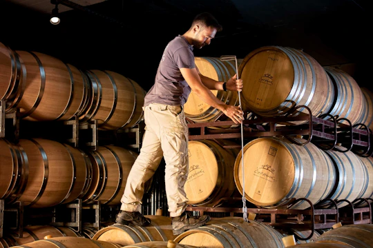 Guided tour of the Douloufakis Winery with estate-crafted wine tasting