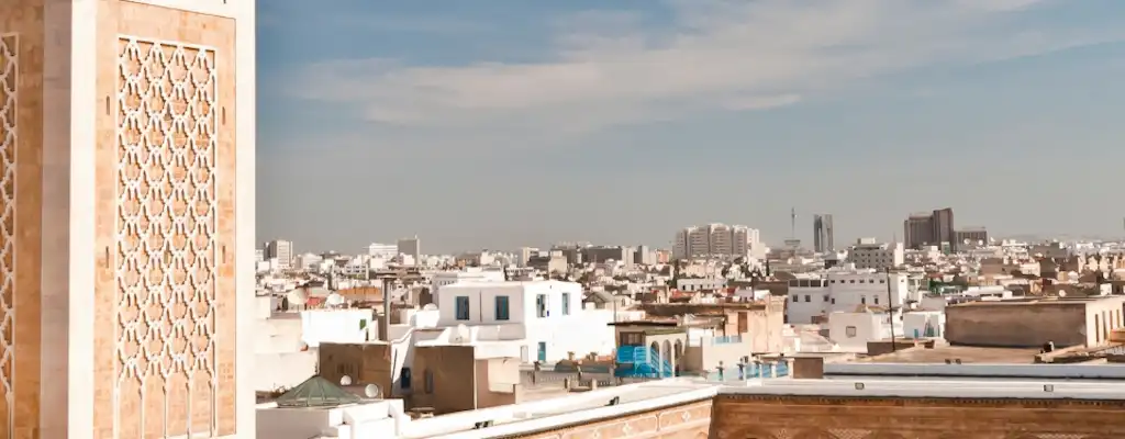 Activiteiten in Tunis