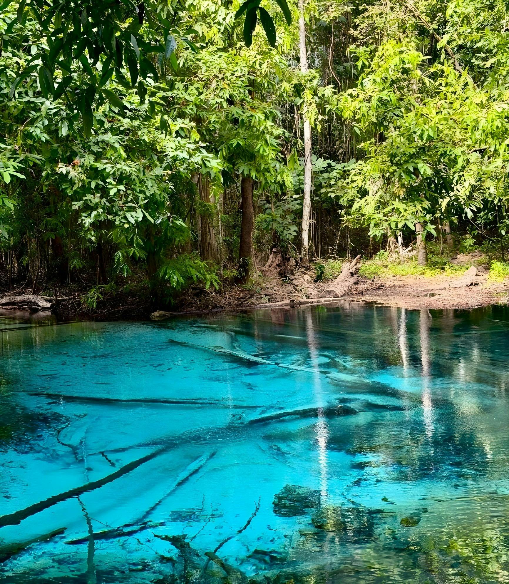 Full day small group jungle tour in Krabi's rainforest with lunch