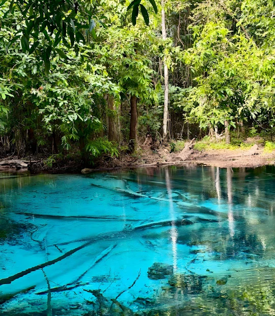 Full day small group jungle tour in Krabi's rainforest with lunch