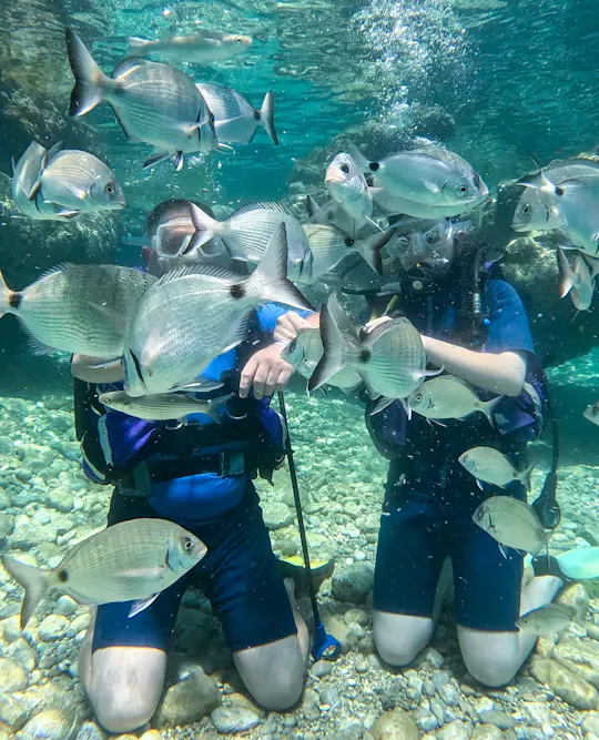 Marmaris scuba diving