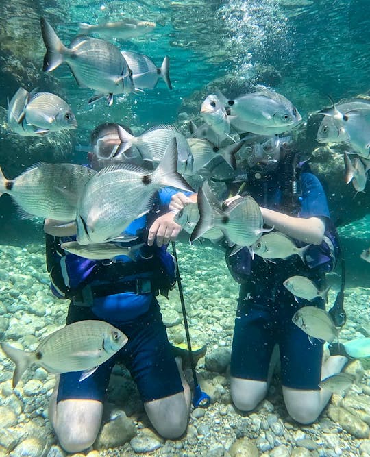 Marmaris scuba diving