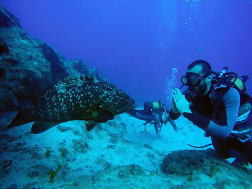 Marmaris scuba diving