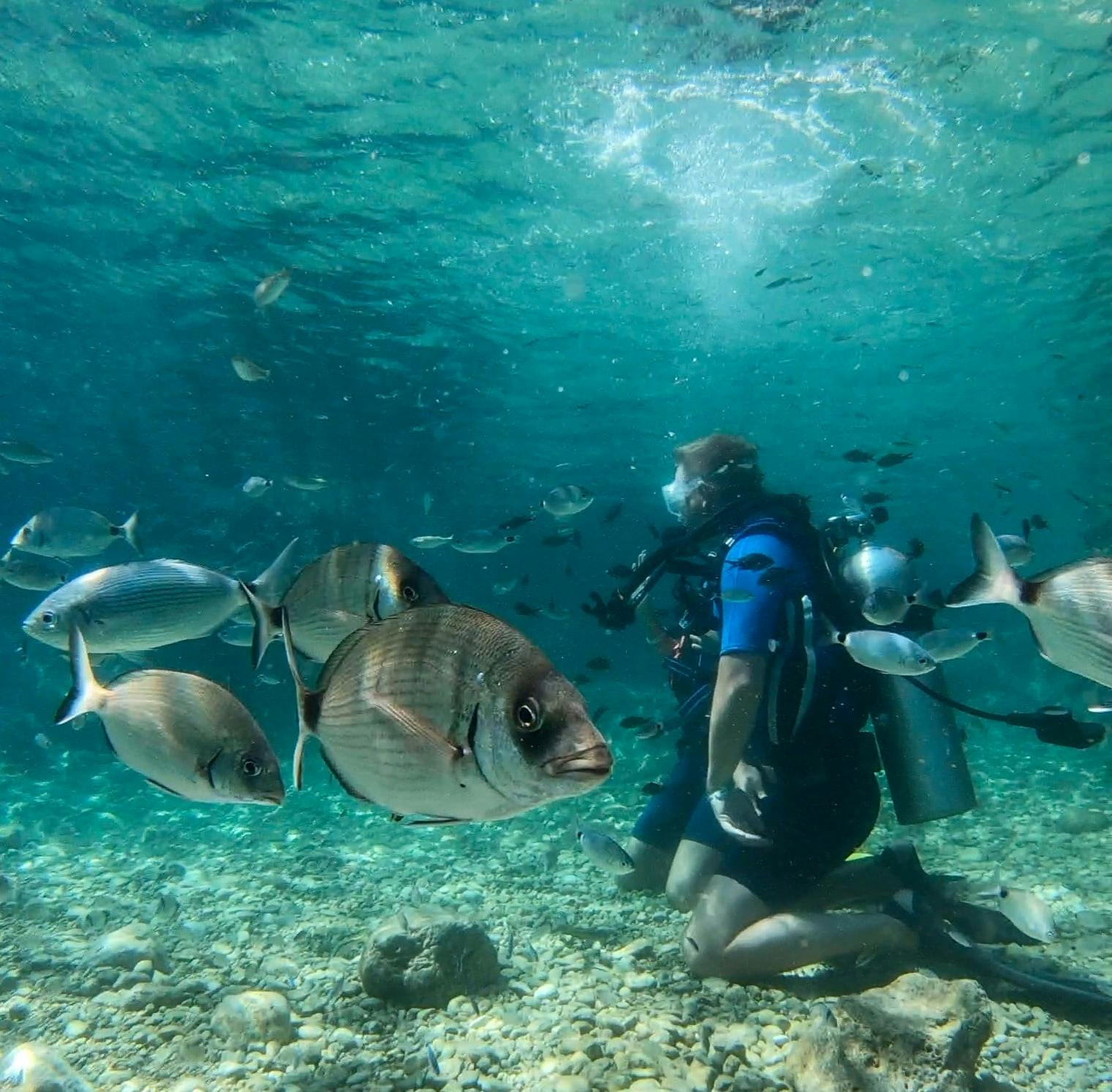 Marmaris scuba diving